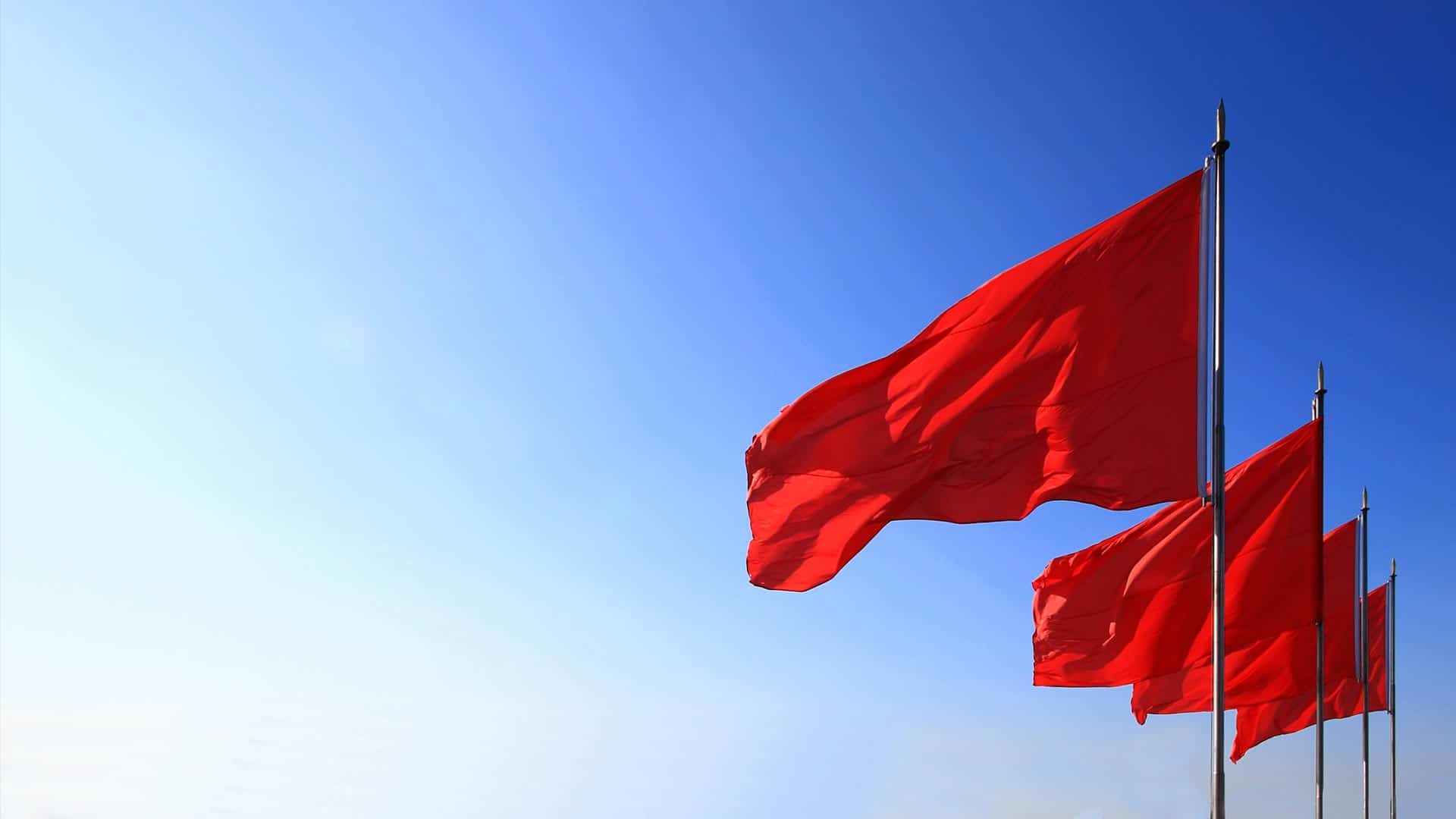 Red Flags that will get you Audited