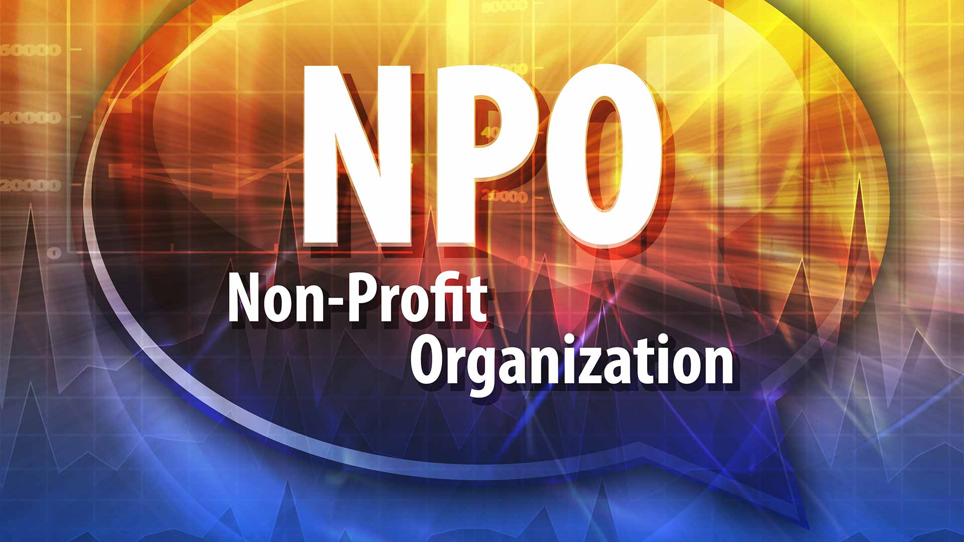 Not For Profit Organizations